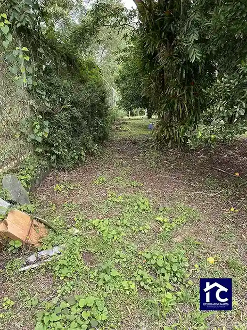 San José lote 2b Urbanización California